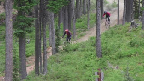 Mountain Bikers- Riding through the forest Stock Footage 139709011
