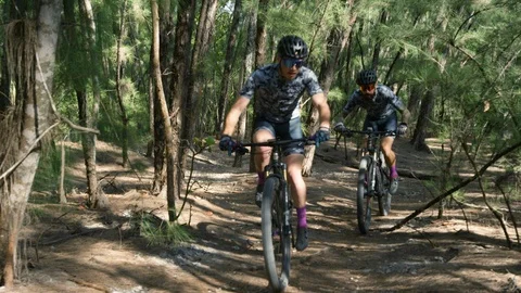 Mountain bikers riding through a woodsy trail Stock Footage 111419341