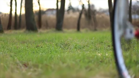 Mountain Bikers Through Puddles Stock-Footage 87387904