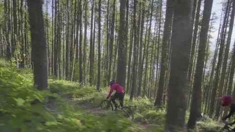 Mountain Bikers- Through the trees Video stock 140942091