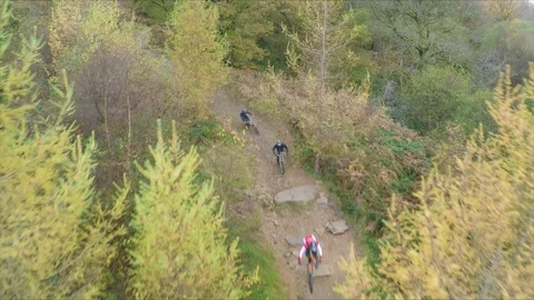 Mountain bikers on a trail at speed surrounded by yellow trees, drone aerial 4K Stock Footage 101110352
