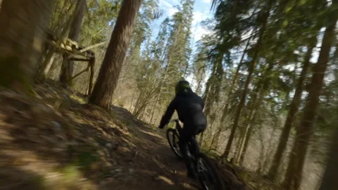 Mountain bikers traversing lush forest trails, maneuvering over wooden bridges Video stock 306397876