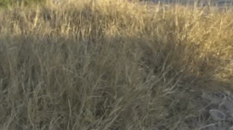 Mountain biking 01 스톡 동영상 22100943