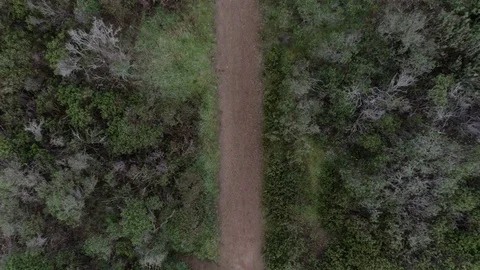 Mountain Biking 4k 스톡 동영상 74434325