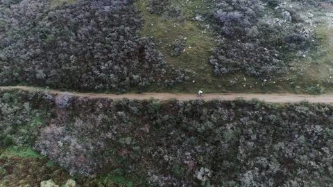 Mountain Biking 4k 動画素材 74483690