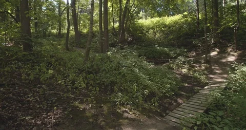 Mountain biking action scenes Stock Footage 114886304