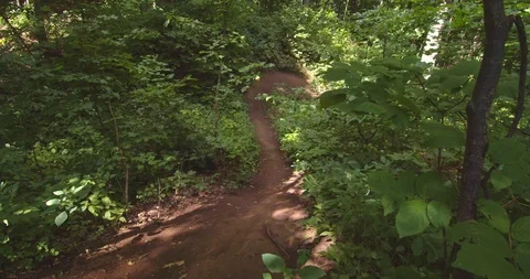 Mountain biking action scenes Stock Footage 114932137