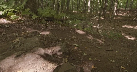 Mountain biking action scenes Stock Footage 114935458