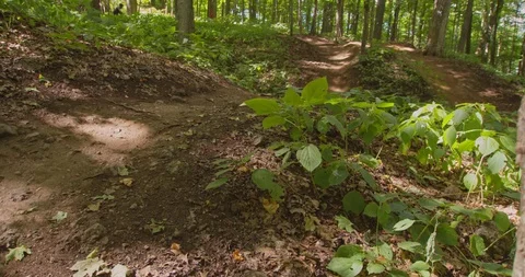 Mountain biking action scenes Stock Footage 114935553