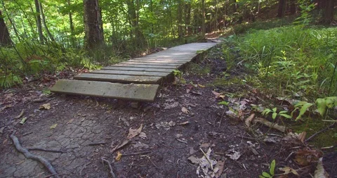 Mountain biking action scenes Stock Footage 114948658