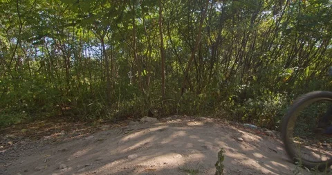 Mountain biking action scenes Stock Footage 114951913