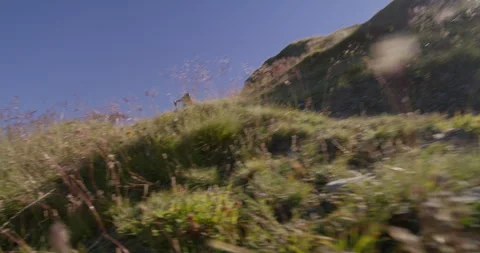 Mountain Biking in the Alps Видео 276235043