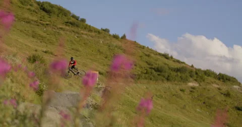Mountain Biking in the Alps Видео 276235067