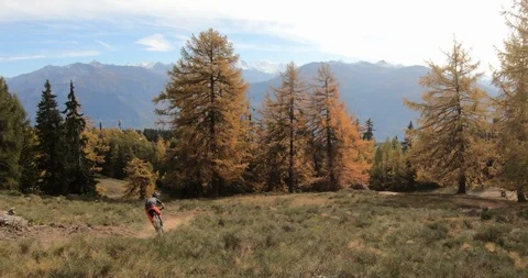 Mountain biking between larches in Crans-Montana 動画素材 118849787