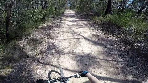 Mountain Biking in the Blue Mountains 스톡 동영상 81011758