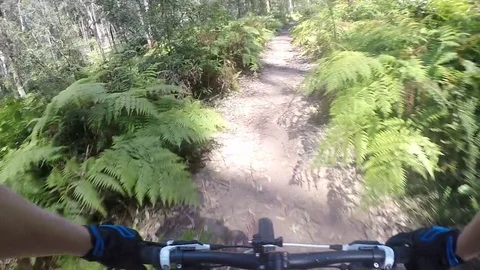 Mountain Biking in the Blue Mountains Stock-Footage 81012769