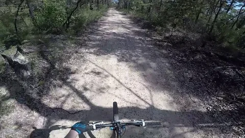 Mountain Biking in the Blue Mountains Stock-Footage 81157773