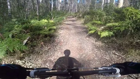 Mountain Biking in the Blue Mountains Stock-Footage 81158157