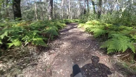 Mountain Biking in the Blue Mountains Stock-Footage 81195698
