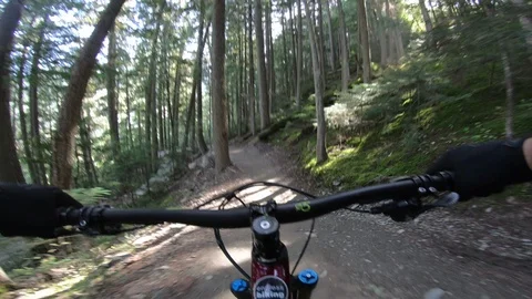 Mountain biking on bridge in forest Stock Footage 96718741