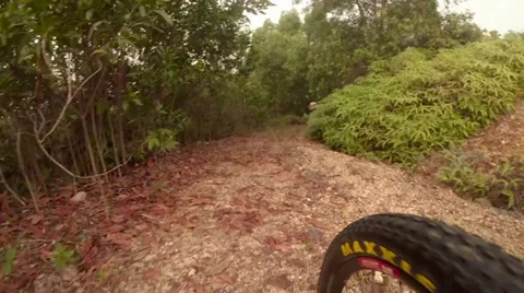 Mountain biking camera view near front tyre Stock Footage 39830347