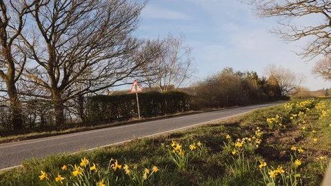 Mountain Biking in The Countryside Vídeo Stock 128593249