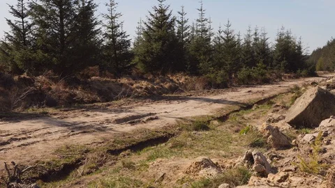 Mountain Biking in The Countryside Vídeo Stock 128593944
