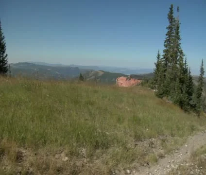 Mountain biking couple pedal down grassy hill Video stock 21670545