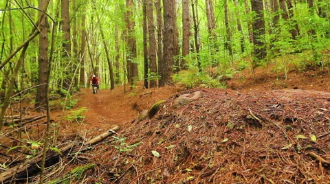 Mountain Biking Dirt Jump in Forest. Outdoor Sports Healthy Lifestyle. Young  스톡 동영상 54596549