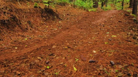 Mountain Biking Dirt Jump in Forest. Outdoor Sports Healthy Lifestyle. Young  Видео 54596710