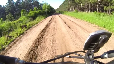 Mountain Biking on a Dirt Road Vídeos de archivo 44267253