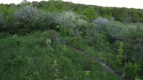 Mountain Biking Before Dusk  Vídeo Stock 79037248