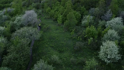 Mountain Biking Before Dusk  Vídeo Stock 79037532