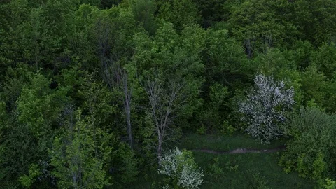 Mountain biking before dusk  Vídeo Stock 79045031