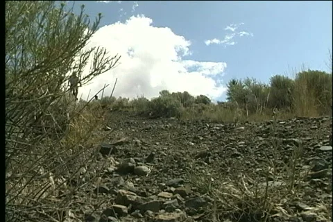 Mountain Biking Video stock 343553