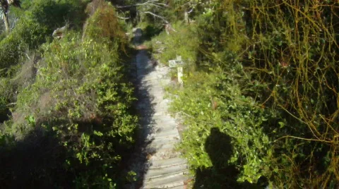 Mountain Biking Stock Footage 836583