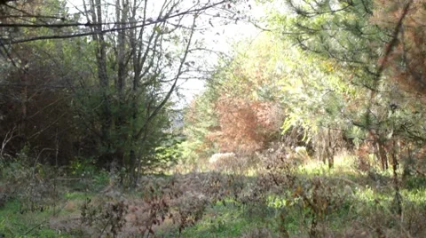 Mountain BIking Stock Footage 7762955