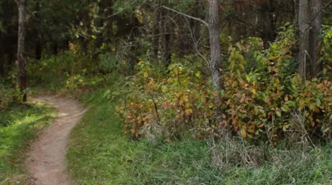 Mountain Biking Video stock 7762970