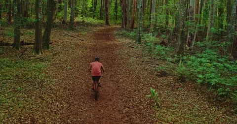 Mountain Biking Stock Footage 76807320
