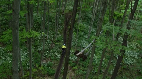 Mountain Biking  Vídeo Stock 79036558