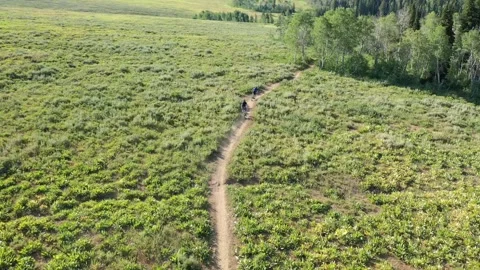 Mountain biking 動画素材 296795279