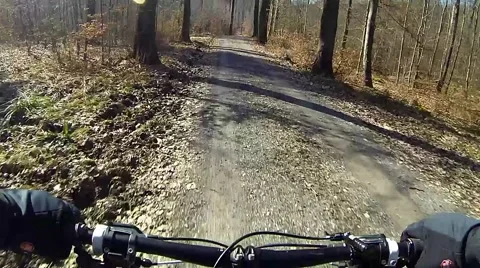 Mountain biking forest Stock Footage 47555467