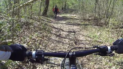 Mountain biking forest track Stock Footage 49322332