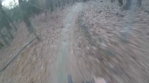 MOUNTAIN BIKING A FOREST TRAIL HEAD CAM POV Stock Footage 83146857