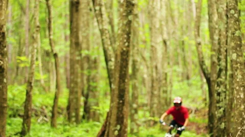 Mountain Biking Forest Trail. Outdoor Sports Healthy Lifestyle. Young Fit Man Видео 54596239