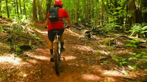 Mountain Biking Forest Trail Uphill Cross Training. Outdoor Sports Healthy Li Stock Footage 54596657