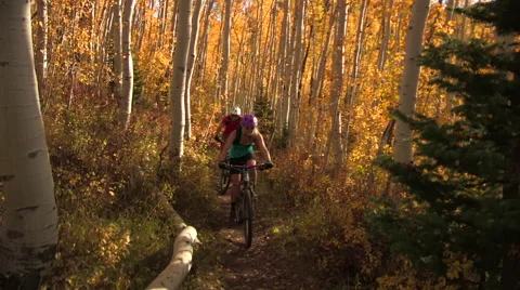 Mountain biking on forested single-track trail in autumn. Stock Footage