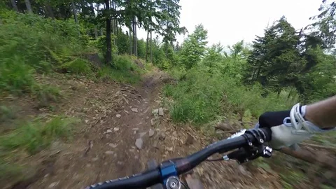 Mountain Biking At High Speed Through Open Green Forest Stock Footage 78076877