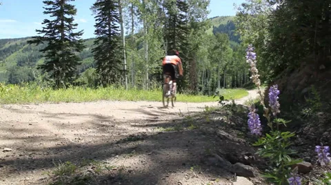 Mountain biking low shot Video stock 35761480