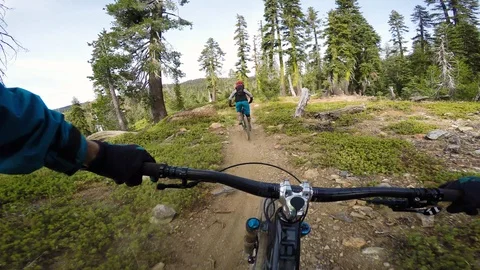Mountain Biking Point Of View Through Forest With Scenic Views Stock Footage 114481124